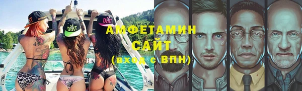 индика Кулебаки