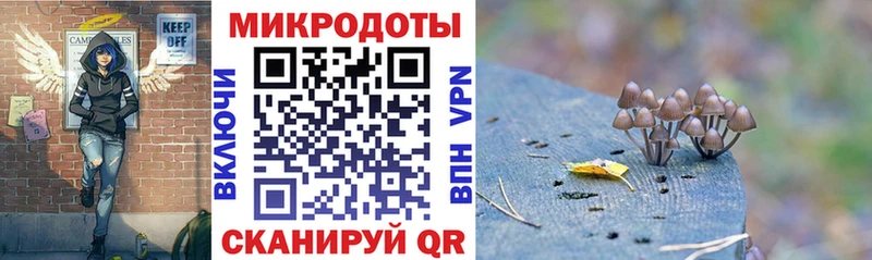 Псилоцибиновые грибы Psilocybe  Старый Крым 